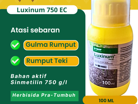 Luxinum