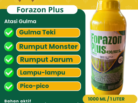 Forazon