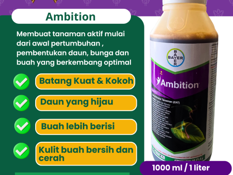 Ambition