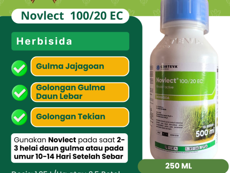 Novlect